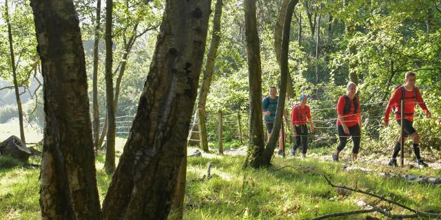 Groupe de 4 marcheurs dans une forêt verdoyante