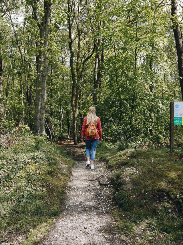 Jeune femme sur un chemin de randonnée à la végétation verdoyante