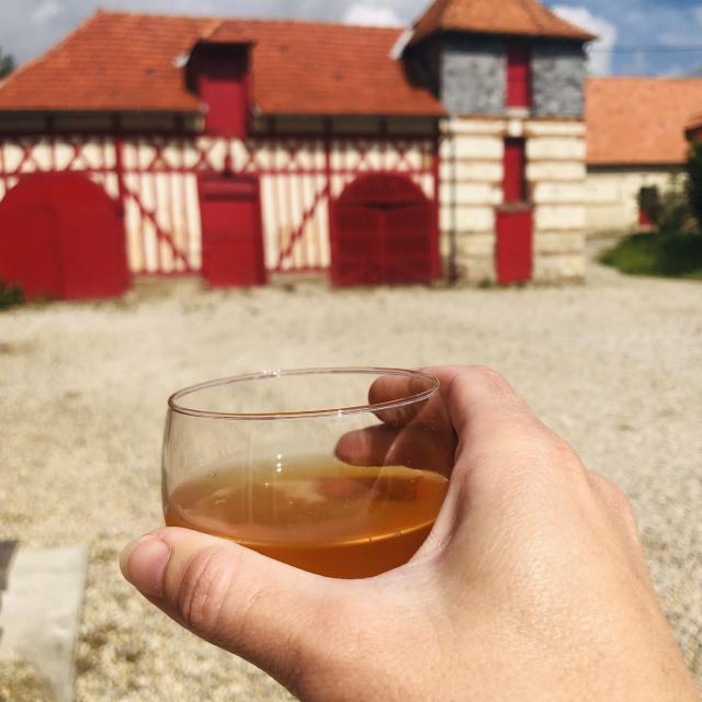 Une personne dégustant un verre de cidre à la Cidrerie