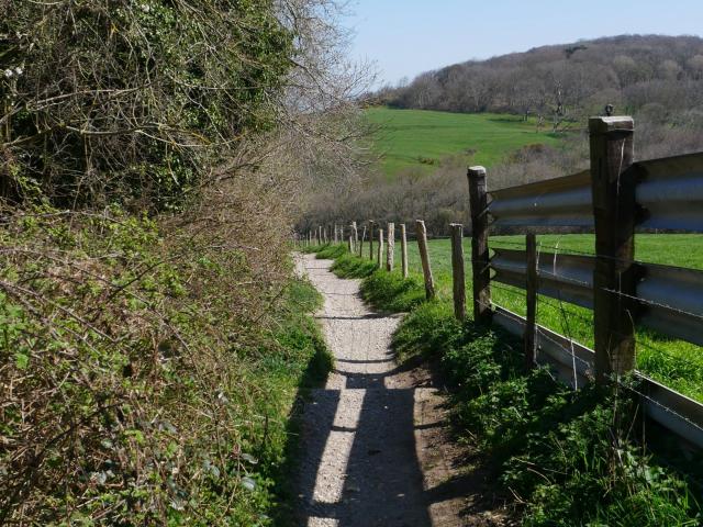 Sentier de randonnées entre bois et champ