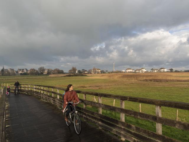 Jeune femme faisant du vélo sur un sentier en bois. Homme et petite fille à vélo à l'arrière-plan