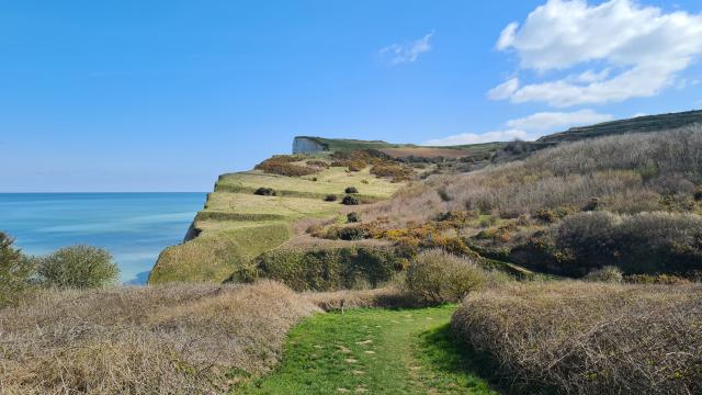 Falaises de Berneval avec verdure et mer