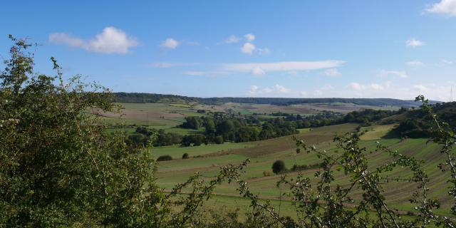 Panorama verdoyant de Villy-sur-Yères avec des champs et des arbres