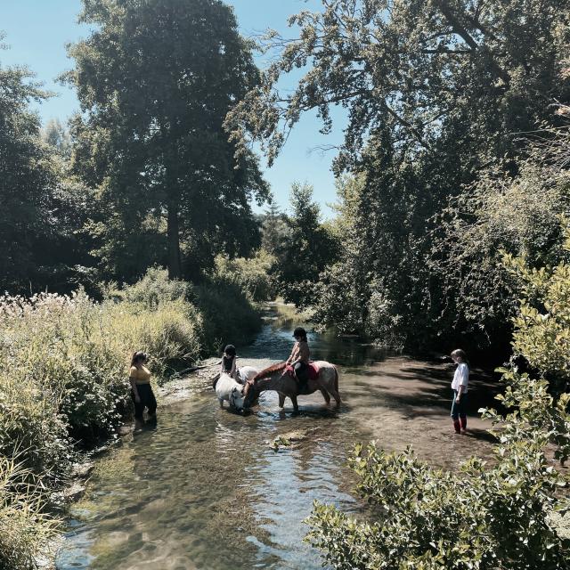 Une balade cheval à travers une rivière dans un cadre verdoyant et bucolique