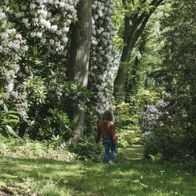 Une petite fille marche à travers un sentier gazonné dans un jardin fleuri et arboré