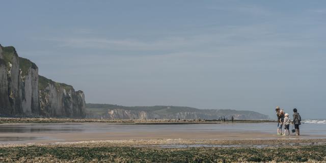 3 personnes font de la pêche à pied sur la plage de Dieppe, avec les falaises en arrière-plan