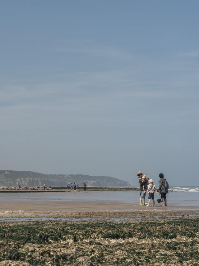 3 personnes font de la pêche à pied sur la plage de Dieppe, avec les falaises en arrière-plan