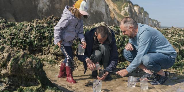 Un papa, sa fille et un guide font de la pêche à pied sur la plage de Dieppe et observe de près la faune dans une petite mare de sable