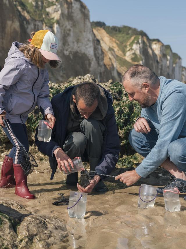 Un papa, sa fille et un guide font de la pêche à pied sur la plage de Dieppe et observe de près la faune dans une petite mare de sable