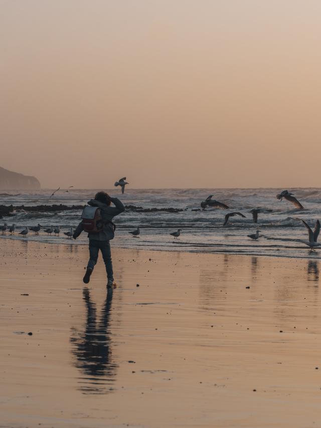 Enfant et goélands au coucher de soleil sur la plage de Dieppe