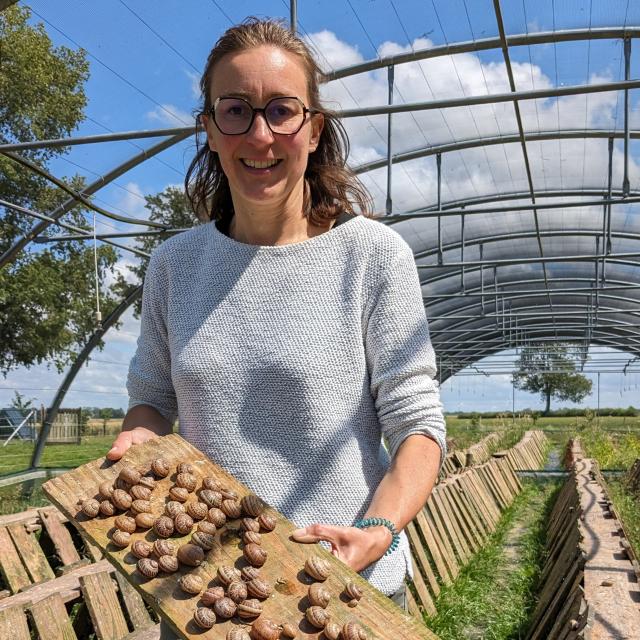 Une jeune femme montre une planche pleine d'escargots devant une serre d'élevage