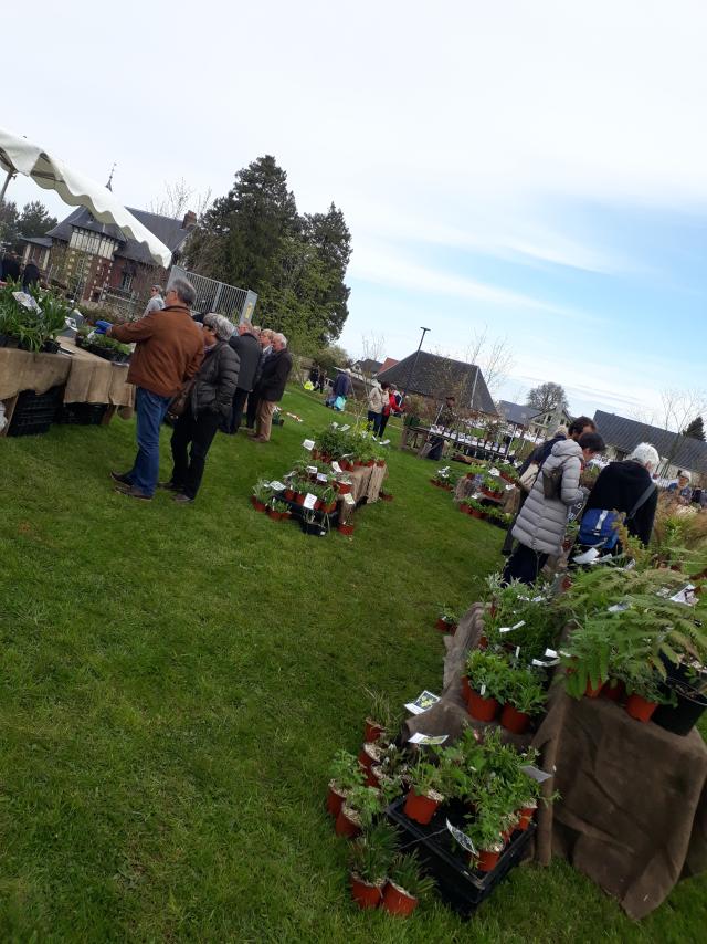 Des exposants de plantes, horticulteurs dans un parc arboré