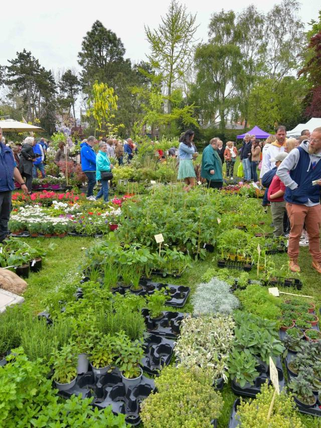 De nombreuses plantes exposées dans un parc à l'occasion d'un marché aux fleurs avec de nombreux visiteurs