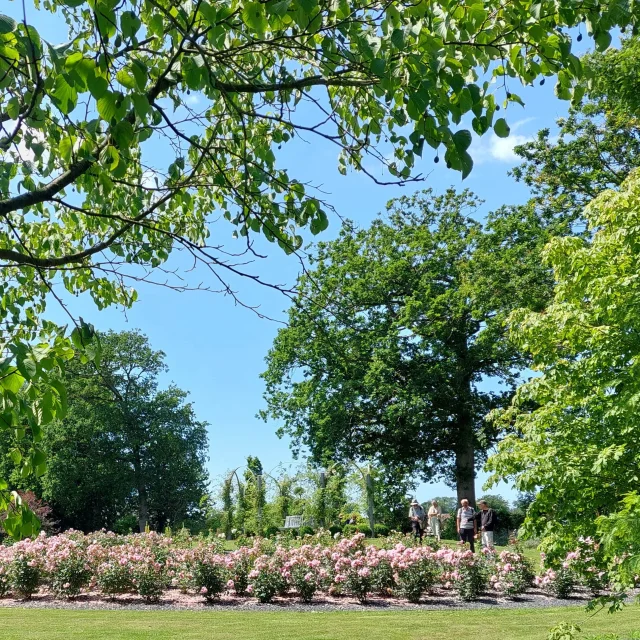 Photo dans la Parc Floral William Farcy avec des personnes regardant beaucoup de roses