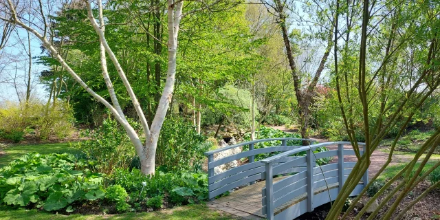 Petit pont entouré d'arbres et de plantes sous un beau ciel bleu