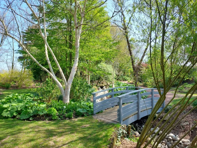 Petit pont entouré d'arbres et de plantes sous un beau ciel bleu