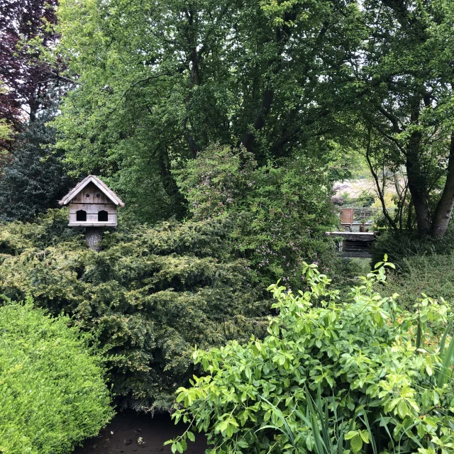 Jardin pleins de buissons vert avec un nichoir en bois