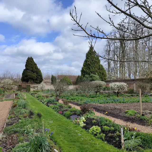 Immense jardin potager sous un ciel nuageux