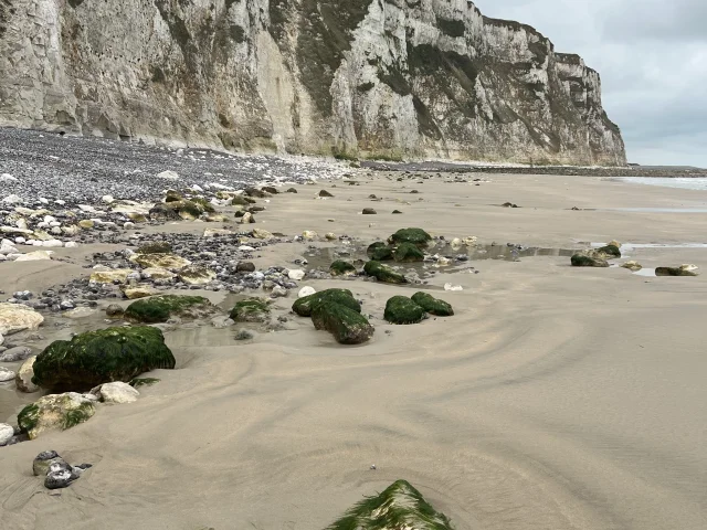 Une vue sur les falaises depuis la plage de Saint Martin Berneval à Petit-Caux