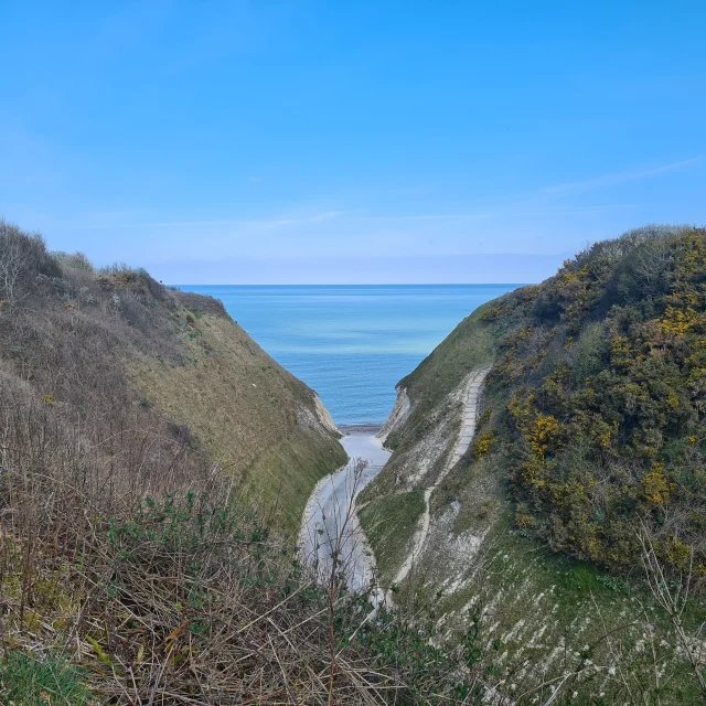 Une route qui mène à la valleuse du Val au Prêtre sur le plage de Belleville à Petit Caux