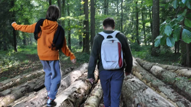 Un père et son fils marchant sur des troncs d'arbres posés au sol lors d'une balade dans la Forêt d'Arques